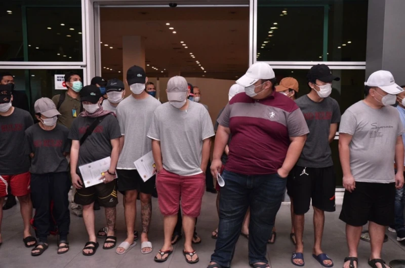 豬仔一意孤行 反詐騙組織灰心暫停救援