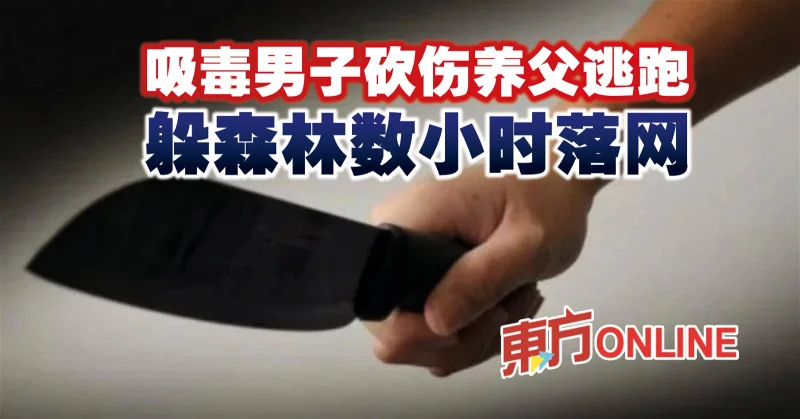 吸毒男子砍傷養父逃跑　躲森林數小時落網