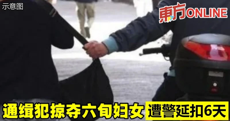 通緝犯掠奪六旬婦女　遭警延扣6天