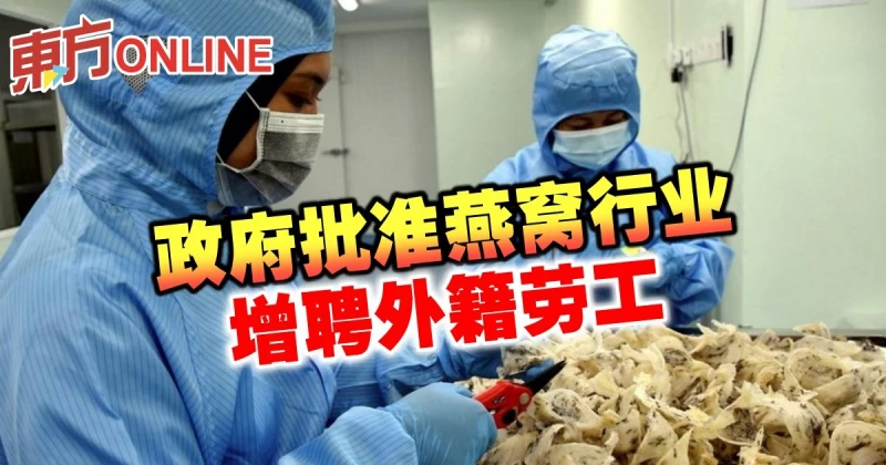 政府批准燕窩行業　增聘外籍勞工