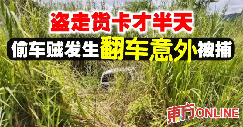 盜走貨卡半天就翻車　偷車賊意外落網