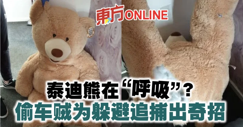 泰迪熊在「呼吸」？偷車賊為躲避追捕出奇招