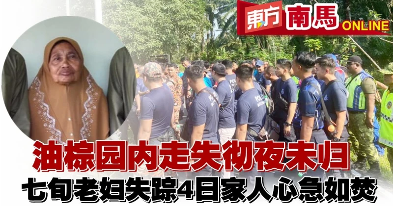 油棕園內走失徹夜未歸　七旬老婦失蹤4日家人心急如焚