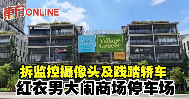 拆監控攝像頭及踐踏轎車　紅衣男大鬧商場停車場