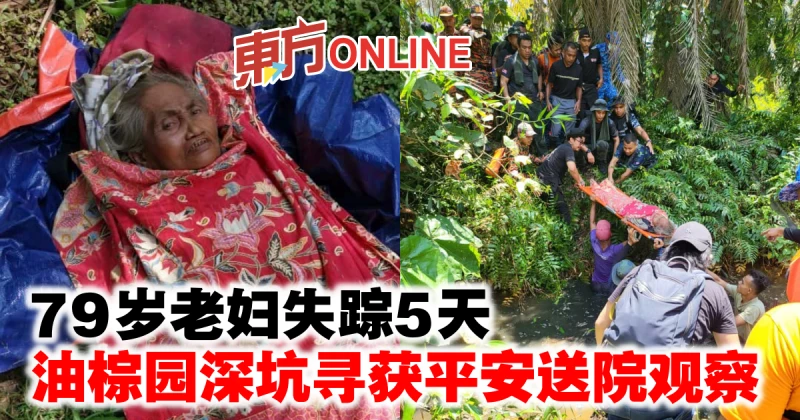79歲老婦失蹤5天　油棕園深坑尋獲平安送院觀察