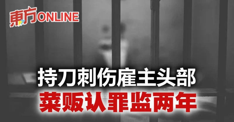 持刀刺傷僱主頭部　菜販認罪遭判罰監禁2年