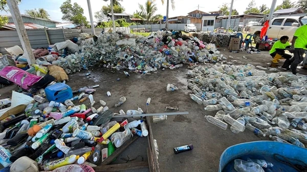 全馬首實施 仙年收400噸可回收垃圾 2年內篤建再循環工廠