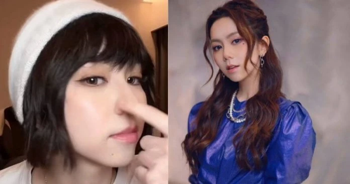 遭質疑「鼻子是否有整型」　鄧紫棋回擊：我整臉都沒動過！