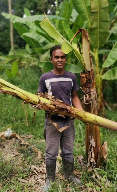 偶傳東西大道大象攔路　老司機：路過時管好嘴巴