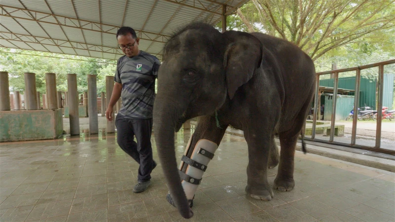 「新手爸爸」葉朝明為寶貝女兒「防疫大升級」　《保育者》《他們的馬來西亞》國慶播出