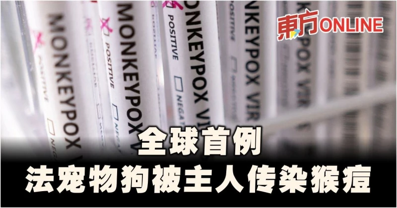【猴痘疫情】法國出現全球首例　寵物狗被主人傳染