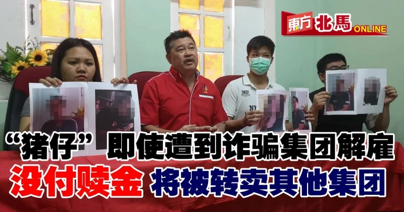 即使被詐騙集團解僱　沒付贖金「豬仔」會被轉賣