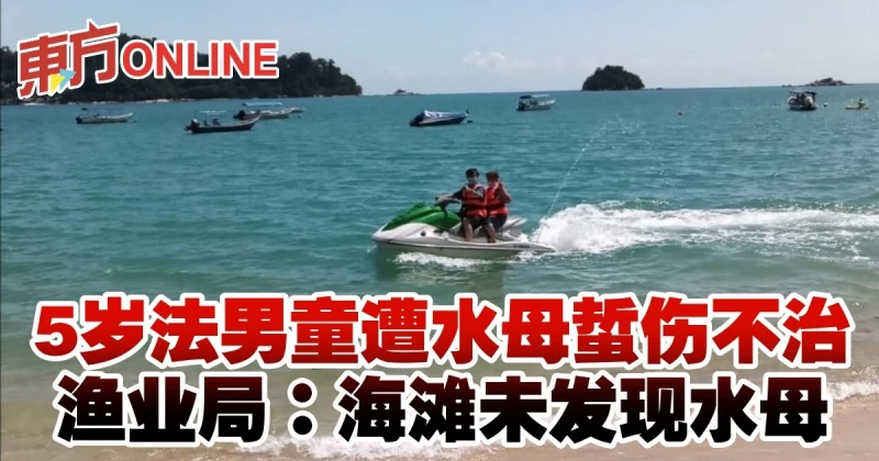 5歲法男童遭水母蜇傷不治　漁業局：海灘未發現水母