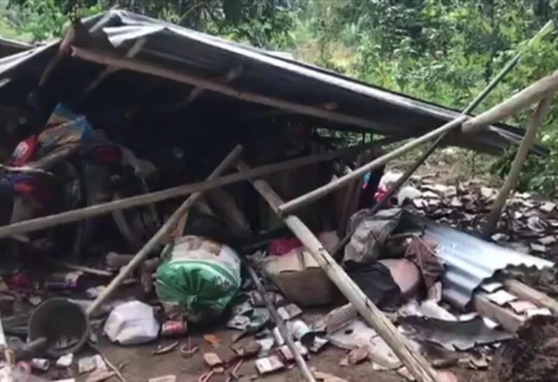 大象闖甘榜毀房屋作物　和豐原住民惶恐度日