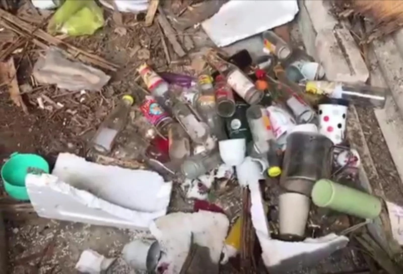 大象闖甘榜毀房屋作物　和豐原住民惶恐度日