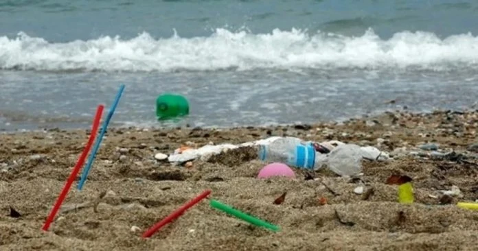 漁業局全國推「無塑料海」運動　海灘大掃除漁民助收集塑料垃圾