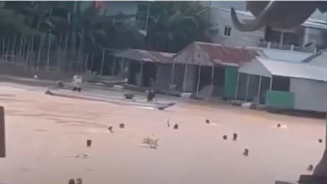 邊境賭場員工暴走跳河逃 柬警捕一中國籍主管助查