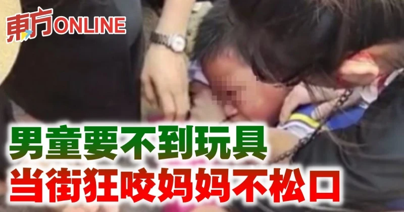 男童要不到玩具　當街狂咬媽媽不鬆口