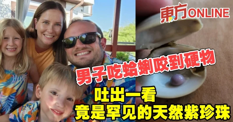 男子吃蛤蜊咬到硬物　吐出一看竟是罕見的天然紫珍珠