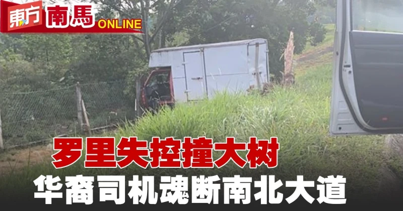 羅里失控撞大樹　華裔司機魂斷南北大道