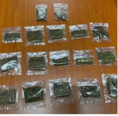 街頭藝人在家自種大麻樹被捕