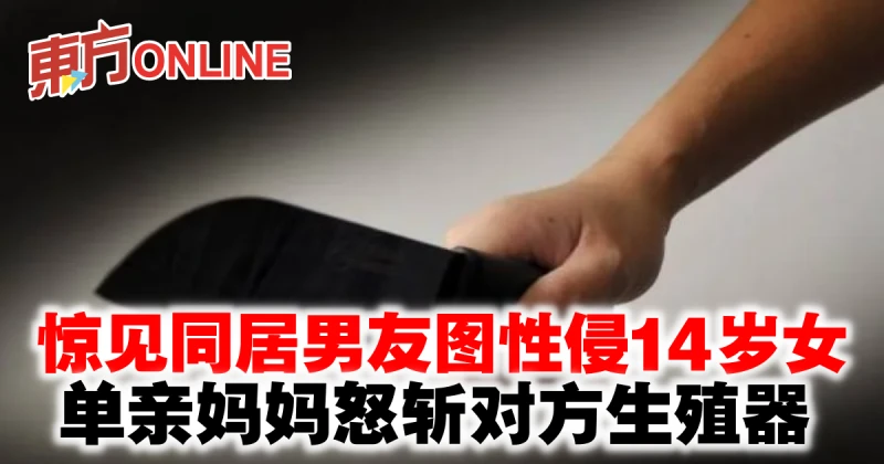 驚見同居男友圖性侵14歲女　單親媽媽怒斬對方生殖器