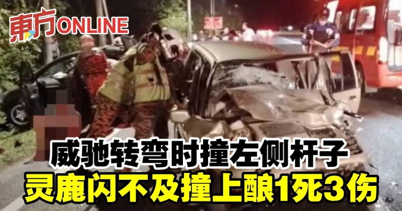 威馳轉彎時撞左側杆子　靈鹿閃不及撞上釀1死3傷