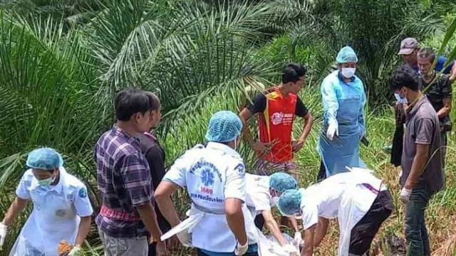 泰國大象炎熱天氣要工作 疑發怒將象夫身體撕成兩半