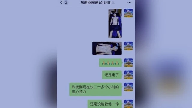 柬埔寨豬仔瘦成皮包骨 遭詐騙園區丟路邊等死