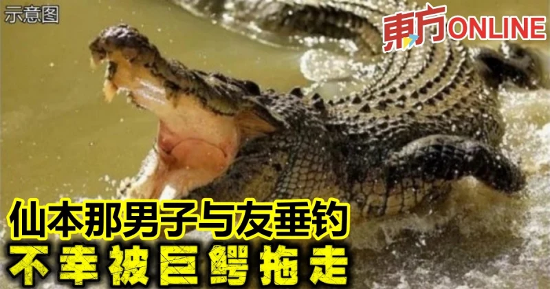 仙本那男子與友垂釣　不幸被巨鱷拖走