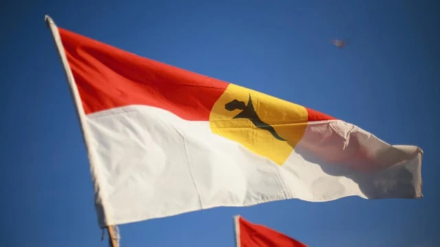 馬國巫統各區部主席同意要求立即舉行大選