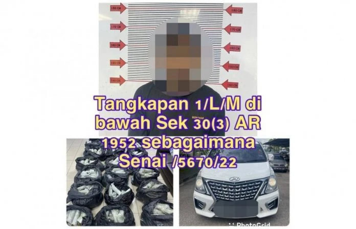 男子運載252公斤哥冬葉北上  收費站遭警截停逮捕