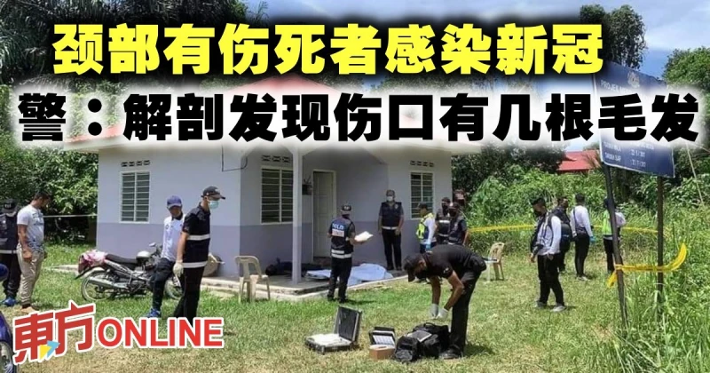 頸部有傷死者感染新冠　警：解剖發現傷口有幾根毛髮