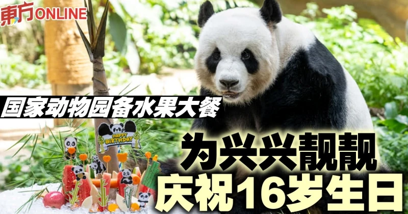國家動物園備水果大餐　為興興靚靚慶祝16歲生日