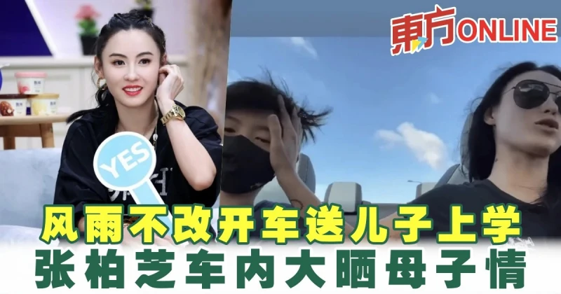 風雨不改開車送兒子上學　張柏芝車內大曬母子情