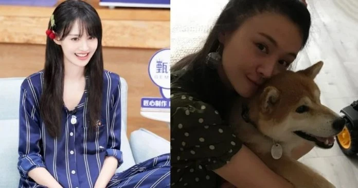 遭封殺1年　鄭爽31歲生日首現真身　娛樂圈僅1人祝福