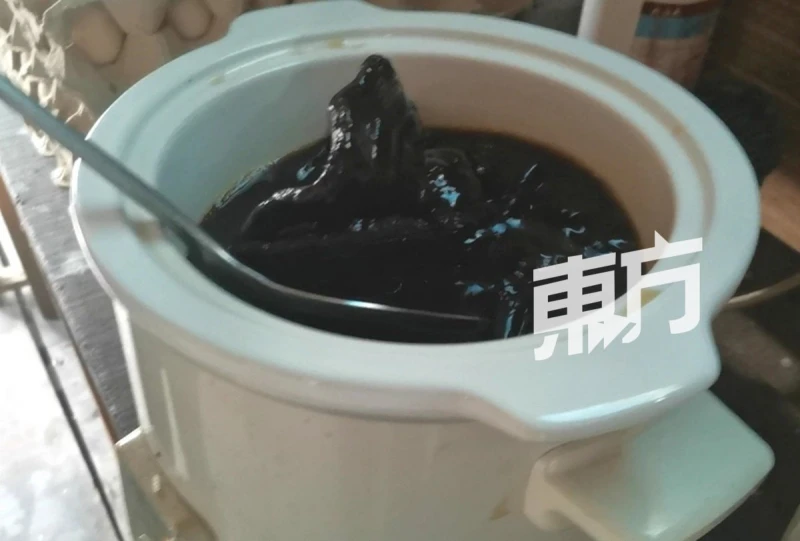 給雞喝靈芝水下靈芝蛋　蛋農看好靈芝蛋潛力