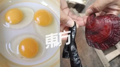 英相詹森訪基輔　承諾進一步軍援