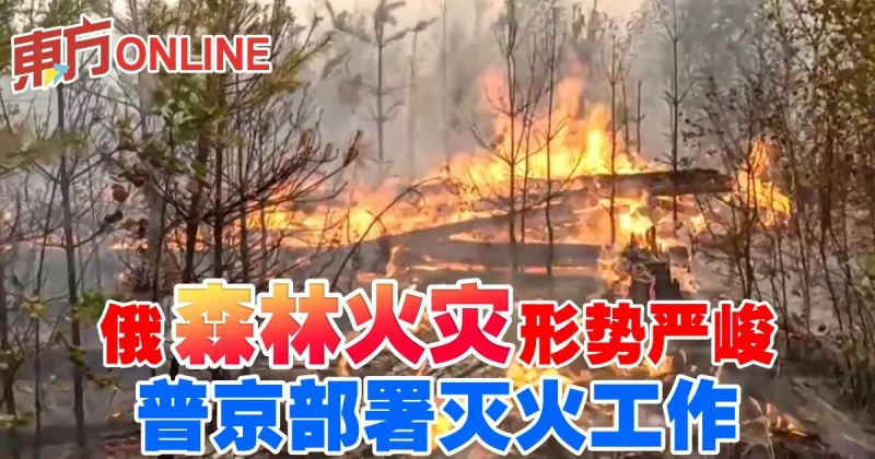 俄森林火災形勢嚴峻　普京部署滅火工作