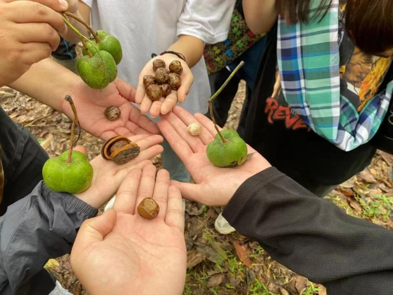 走入霹靂山村寄宿　中國留學生體驗大馬原生態生活