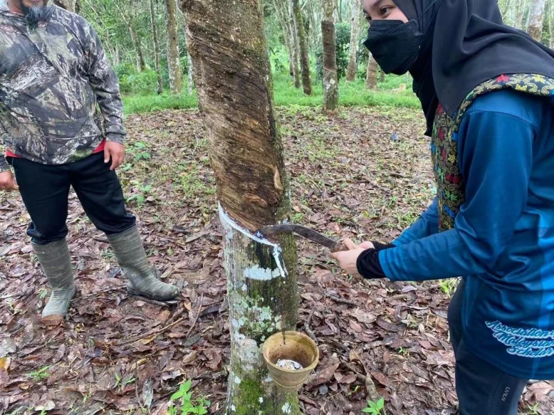 走入霹靂山村寄宿　中國留學生體驗大馬原生態生活