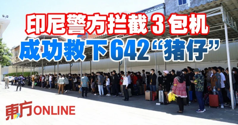 印尼警方攔截3包機　成功救下642「豬仔」