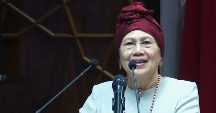 全國婦女組織理事會冀修憲 解決海外產子公民權問題