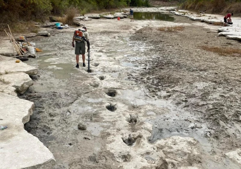 乾旱天氣造成世界各地河流乾涸　恐龍腳印與沉沒戰艦重見天日