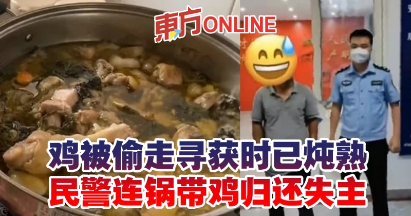 雞被偷走尋獲時已燉熟　民警連鍋帶雞歸還失主