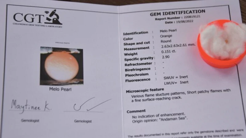 泰國情侶吃螺 吃出百萬泰銖珍珠