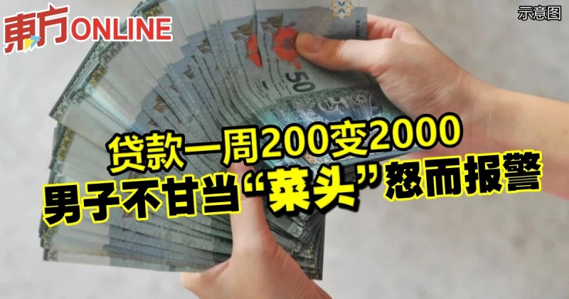 貸款一周200變2000　男子不甘當「菜頭」怒而報警