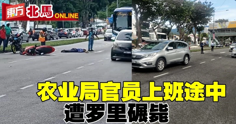 農業局官員上班途中　遭羅里碾斃