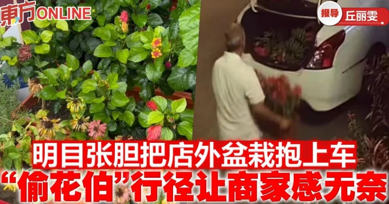 明目張膽把店外盆栽抱上車　「偷花伯」行徑讓商家感無奈