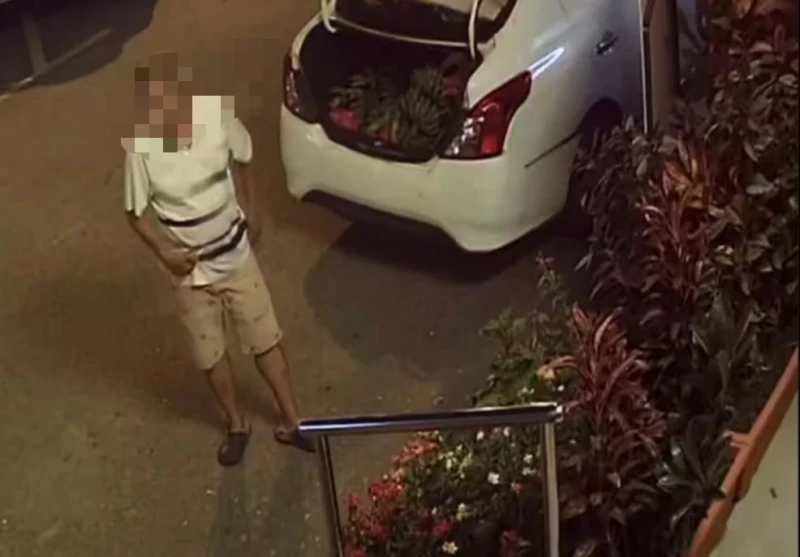 明目張膽把店外盆栽抱上車　「偷花伯」行徑讓商家感無奈